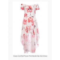 Ladies Size 8 - Cream and Red Flower Print Bardot Dip Hem Dress from Quiz