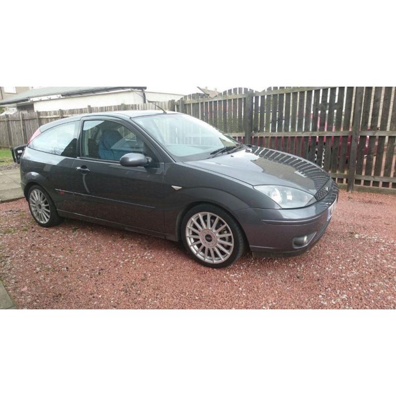 Ford Focus ST170 for sale (Suzie)