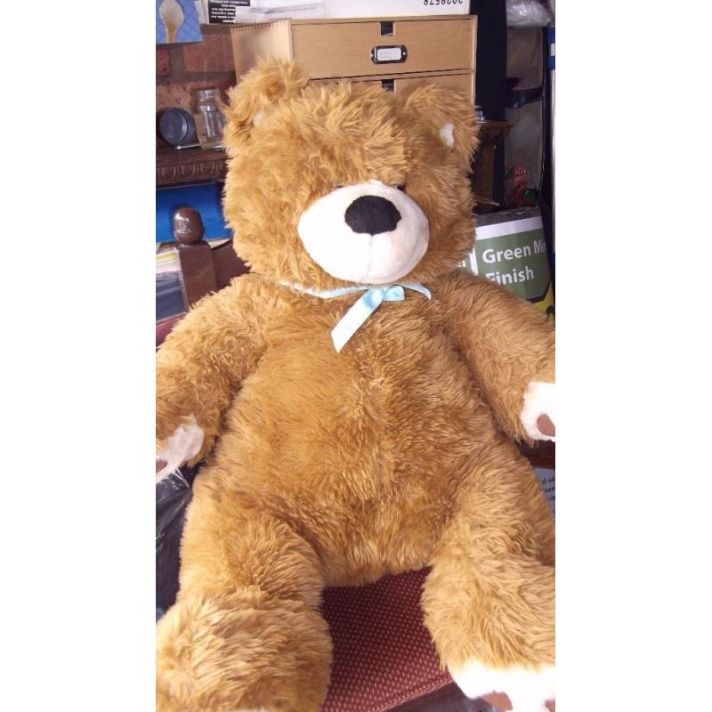 "Bruno" Teddy Bear needs a new home