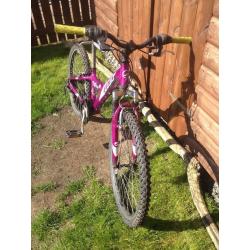 Girls MTX 250 (good for 7 to 10 year old)