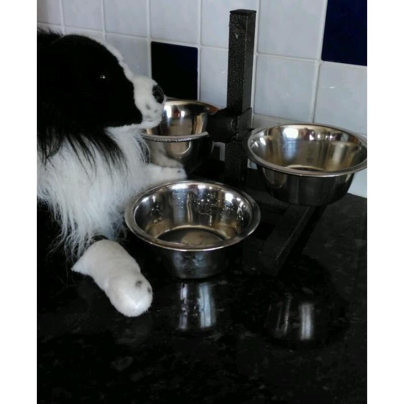 Adjustable height dog bowl set with FREE NEW FRISBY