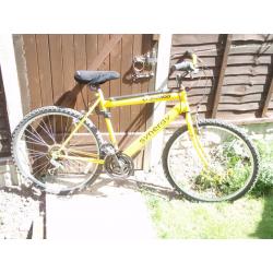 Daewoo Synergy 400 mountain bike