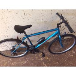 Townsend adult men's 5 speed bike