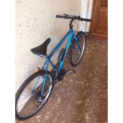 Townsend adult men's 5 speed bike