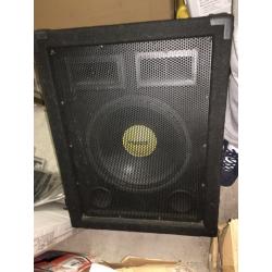 Synergy large PA speaker