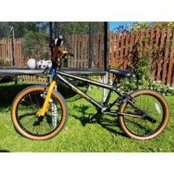 Kids 20 inch BMX