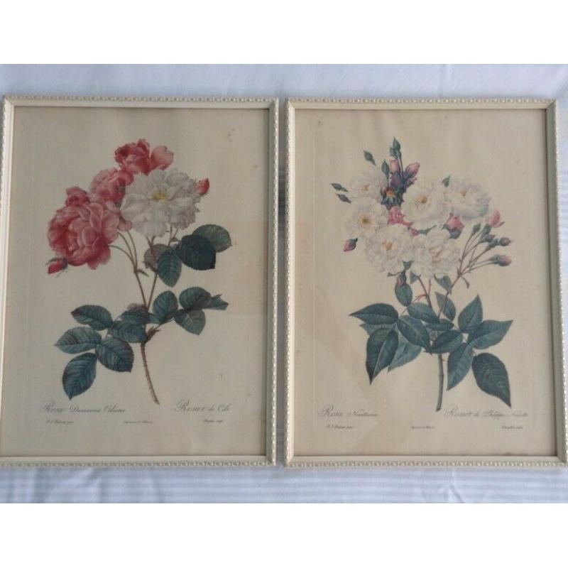 Pair of framed rose prints